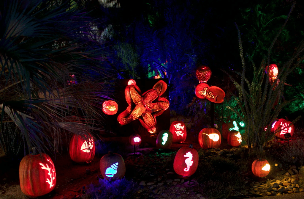 Glowing Pumpkins image